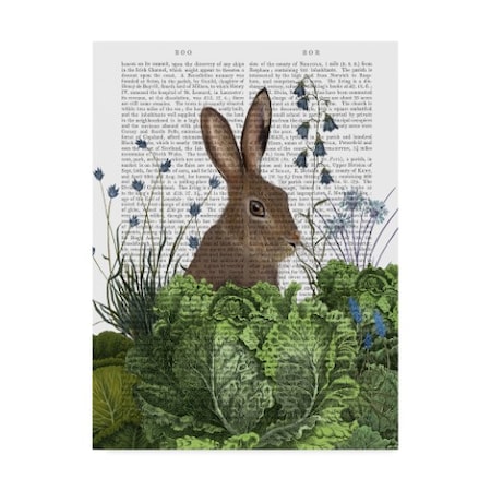 Fab Funky 'Cabbage Patch Rabbit Text 2' Canvas Art,24x32